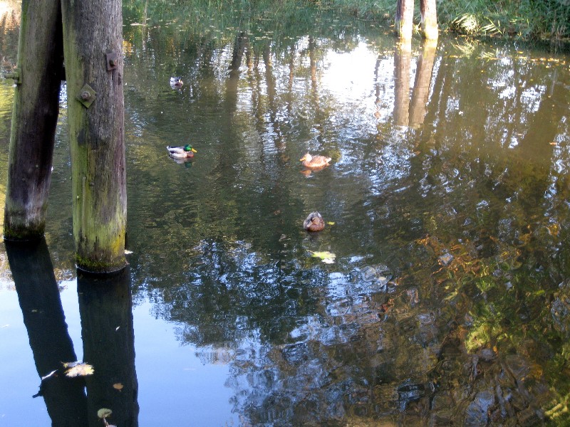 ../Images/Radtour111008 037.jpg